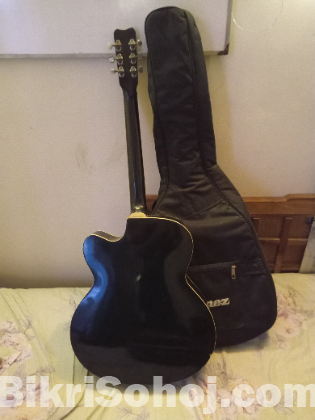 Givson Venus Super Special, 6-Strings, Semi-Electric Guitar